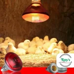 Foco calentador de 250w - Imagen 5