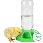 Bebedero automático 250ml base verde para aves